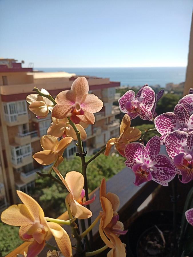 Sweet Home Benalmadena, Estudio Con Vistas Al Mar Y Excelente Conexion Wifi, Para No Fumadores, Con Piscinas, Sea Views, With Swimming Pools, Completely Renovated, Ideal For Older People, Bright With Morning Sun, No Smoking Exterior photo